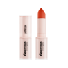 RAL LIP STATION 01 ORANGE ROUTE - Andreia Professional - EM PRO Esthetique